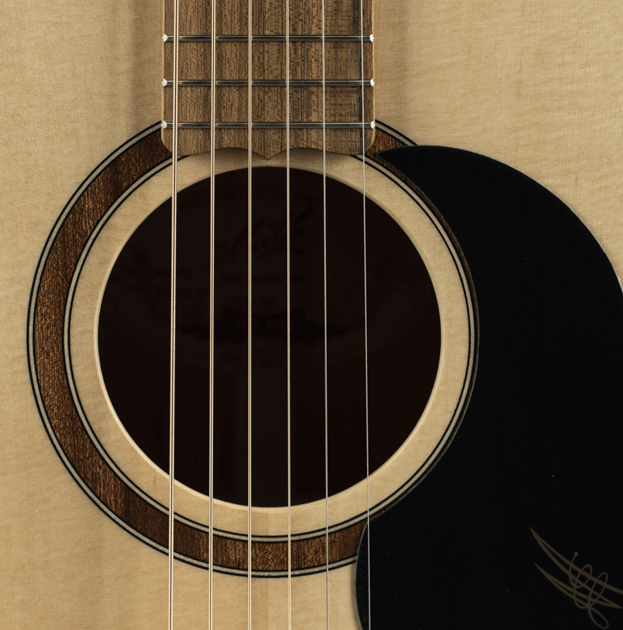 THE NEW All ACOUSTIC S808