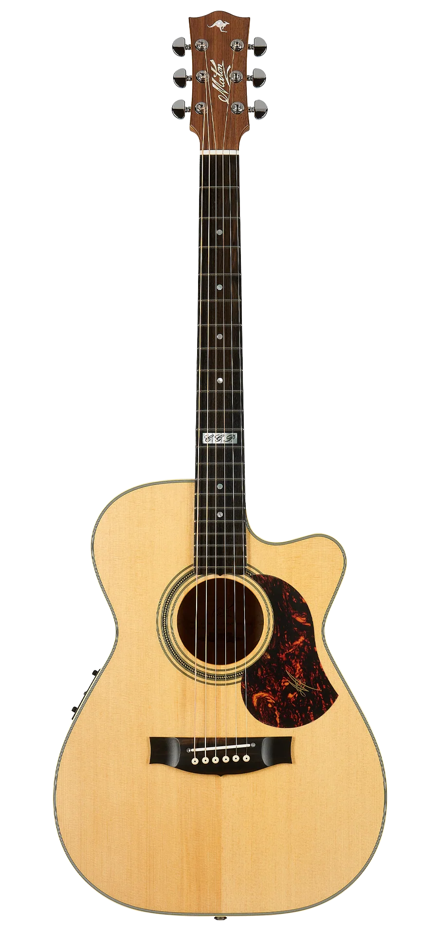 EBG808TEC-guitar