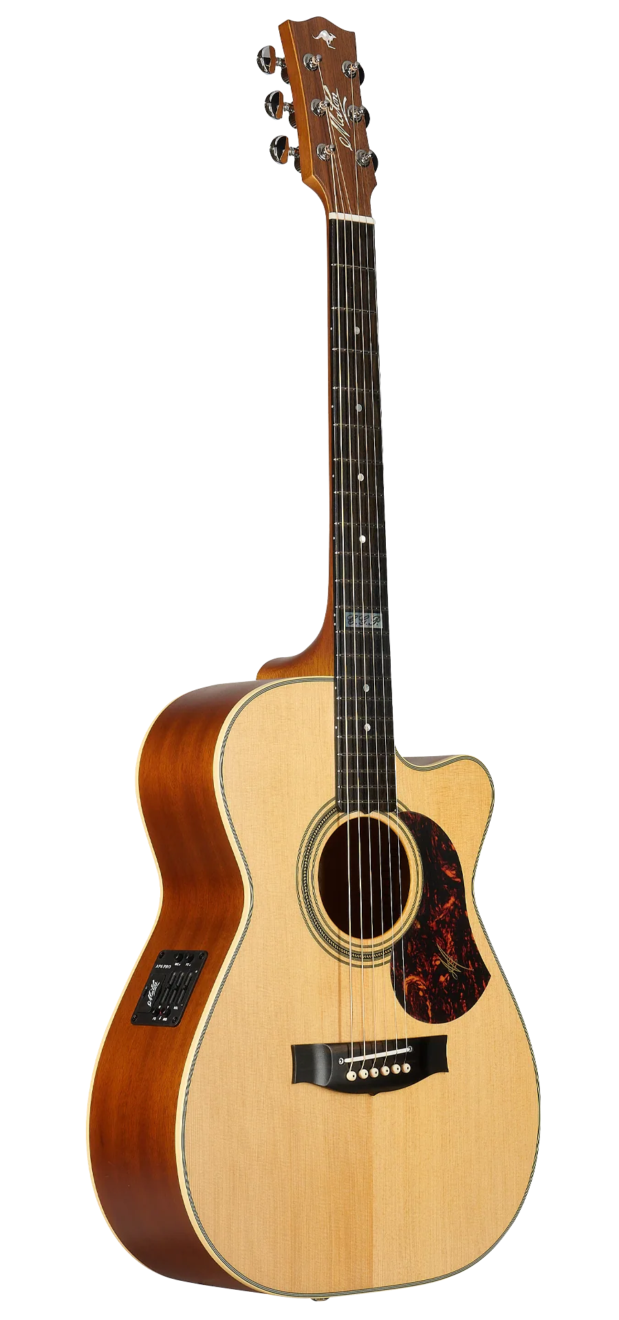 EBG808TEC-guitar