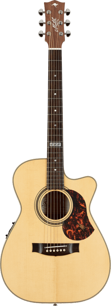 guitar