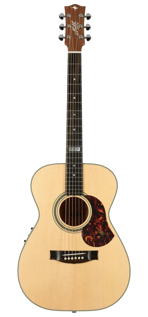 guitar