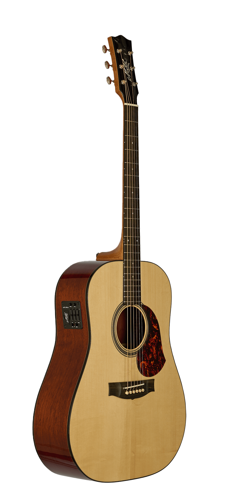 The Master Built Dreadnought-guitar