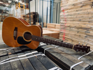 Vintage 808 mATON acoustic Guitar - IMG_6282