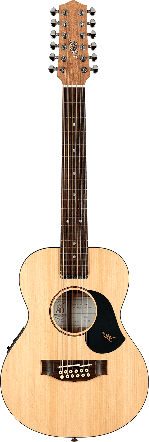 EM12-guitar
